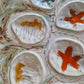 Set vintage French MBFA Pornic 1960s Hand painted Penerff Seafood plates